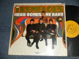 画像: THE TREMELOES - HERE COMES MY BABY (MINT/MINT- BB for PROMO) /1967 US AMERICA ORIGINAL "YELLOW Label" "PROMO" MONO Used LP 