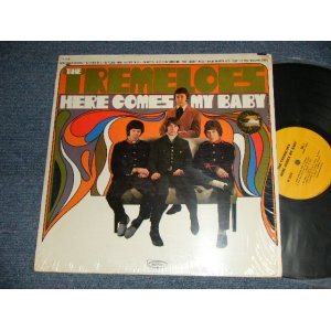 画像: THE TREMELOES - HERE COMES MY BABY (MINT/MINT- BB for PROMO) /1967 US AMERICA ORIGINAL "YELLOW Label" "PROMO" MONO Used LP 