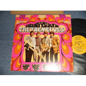 画像: THE TREMELOES - SUDDENLY YOU LOVE ME (Ex++/Ex+++ Looks:MINT- EDSP) /1968 US AMERICA ORIGINAL "YELLOW Label" STEREO Used LP 