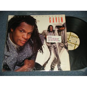 画像: GAVIN CHRISTOPHER - GAVIN (MINT-/MINT-) /1988 US AMERICA ORIGINAL Used LP 