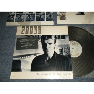 画像: STING (POLICE) - THE DREAM OF THE BLUE TURTLE (MINT/MINT-) / 1985 US AMERICA ORIGINAL Used LP  