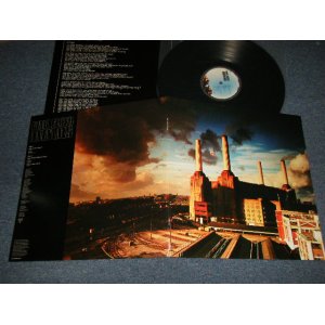 画像: PINK FLOYD - ANIMALS  (With CUSTOM INNER) (MINT-/MINT) / 2016 EUROPE REISSUE "180 Gram" Used LP