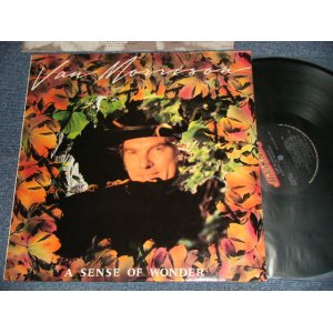 画像: VAN MORRISON - A SENSE OF WONDER (With CUSTOM INNER SLEEVE) (MINT-/MINT) / 1985 US AMERICA  ORIGINAL Used LP 