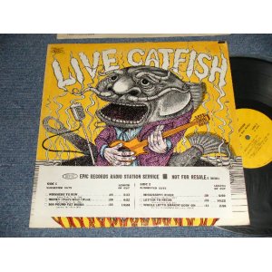 画像: CATFISH Featuring Bob Hodge - Live Catfish (Ex++/Ex++ Looks:MINT-)1970 US AMERICA ORIGINAL "PROMO SHEET" 1st Press "YELLOW Label" Used LP