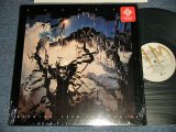 画像: BAUHAUS - BURNING FROM THE INSIDE (With CUSTOM INNER SLEEVE) (MINT-/MINT-) /  1983 US AMERICA ORIGINAL Used LP