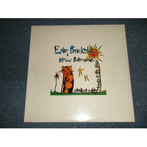 画像: ERIC BRICKELL & NEW BOHEMIANS - SHOOTING RUBBER BANDS AT THE STYARS (SEALED) / 1988 US AMERICA ORIGINAL "BRAND NEW SEALED" LP 