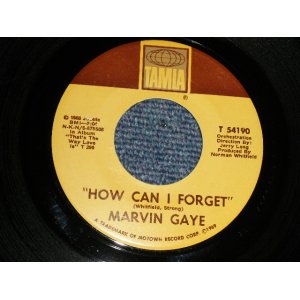 画像: Marvin Gaye - A)How Can I Forget   B)Gonna Give Her All The Love I've Got (Ex+++/Ex+++) /1966 US AMERICA ORIGINAL Used 7"45 