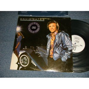 画像: DAVID GATES (of BREAD) - FALLING IN LOVE AGAIN 'With CUSTOM SLEEVE) (Ex/MINT-) / 1980 US AMERICA ORIGINAL "WHITE LABEL PROMO" Used LP 