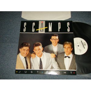 画像: SCAMPS - JUST RIGHT (MINT-/MINT) / 1987 WEST-GERMANY GERMAN ORIGINAL Used LP 