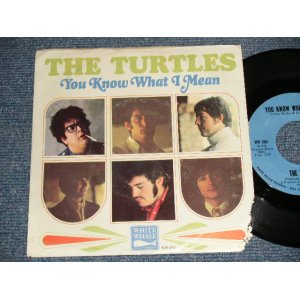 画像: THE TURTLES - A)YOU KNOW WHAT I MEAN  B)RUGS OF WOODS & FLOWERS  VG/VG+++, Ex++Looks*Ex+++)  / 1967 US AMERI CA ORIGINAL "With PICTURE SLEEVE" Used 7"Single