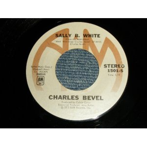 画像: Charles Bevel - A)Sally B. White   B)Porcupine Meat (Ex++/Ex++)  / 1973 US AMERICA ORIGINAL  Used 7" 45 rpm Single  