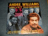 画像: ANDRE WILLIAMS - WHIP YOUR BOOTY  (SEALED) / 2001 US AMERICA ORIGINAL ”BRAND NEW SEALED" LP 