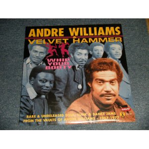 画像: ANDRE WILLIAMS - WHIP YOUR BOOTY  (SEALED) / 2001 US AMERICA ORIGINAL ”BRAND NEW SEALED" LP 