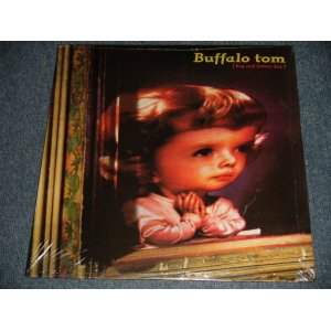 画像: BUFFALO TOM - BIG RED LETTER DAY! (SEALED) / 1993 UK ENGLAND & EU ORIGINAL "BRAND NEW SEALED" LP