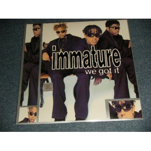 画像: IMMATURE - WE GOT IT (SEALED) / 1995 US A,MERICA ORIGINAL "BRAND NEW SEALED" LP