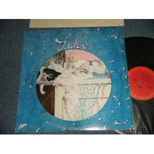 画像: LAKE - LAKE (Ex+/Ex+++) / 1977 US AMERICA ORIGINAL Used LP 