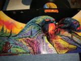 画像: BLACKSUN - BLACKSUN (Ex+++/MINT-)  / 1978 CANADA ORIGINNAL Used LP  