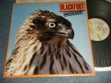 画像: BLACKFOOT - MARAUDER (With CUSTOM INNER SLEEVE)  (Ex+++/MINT-)  / 1981 US AMERICA ORIGINAL Used LP  