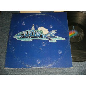 画像: SHARKS (CHRIS SPEDDING) - FIRST WATER (Ex-/Ex+++) / 1973 US AMERICA ORIGINAL Used LP 