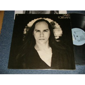 画像:  DAVID FORMAN -  DAVID FORMAN (With CUSTOM INNER SLEEVE) (Ex+++/MINT-) / 1976 US AMERICA ORIGINAL Used LP