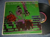 画像: HUMAN BEINZ - EVOLUTIONS (VG++/Ex++ B-1:VG++ WTRDMG, BB HOLES, EDSP) / 1968 US AMERICA original STEREO Used LP