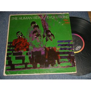 画像: HUMAN BEINZ - EVOLUTIONS (VG++/Ex++ B-1:VG++ WTRDMG, BB HOLES, EDSP) / 1968 US AMERICA original STEREO Used LP