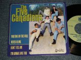 画像: The Five Canadians - Writing On The Wall (NEW) / 2000 US AMERICA ORIGINAL Limited "Brand New" 7"45 EP with PICTURE SLEEVE  