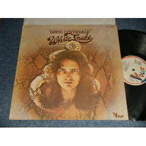 画像: DAVID COVERDALE - WHITESNAKE (MINT-/MINT-) / 1977 FRANCE FRENCH ORIGINAL Used LP 