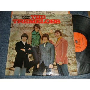 画像: THE TREMELOES - HERE COMES THE TREMELOES (MINT-, Ex+/Ex+++ SWOBC) /1967 UK ENGLAND ORIGINAL Used LP 