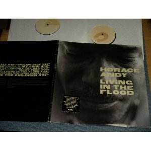 画像: HORACE ANDY - LIVING IN THE FLOOD (MINT-/MINT-)  / 1998 US AMERICA ORIGINAL Used 2-LP