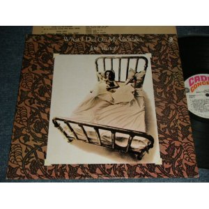 画像: Joel Vance - What I Did On My Vacation (With CUSTOM INNER SLEEVE) (MINT-/MINT-) / 1970 US AMERICA ORIGINAL Used LP  