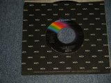 画像: LYNYRD SKYNYRD - A) SEARCHING  B) FREE BIRD (Ex++/Ex++) / 1976 US AMERICA ORIGINAL Used 7" Single 