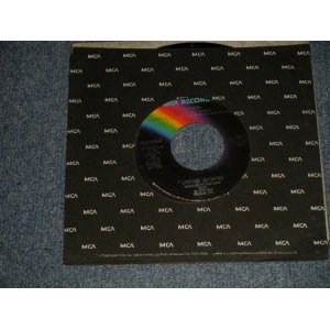 画像: LYNYRD SKYNYRD - A) SEARCHING  B) FREE BIRD (Ex++/Ex++) / 1976 US AMERICA ORIGINAL Used 7" Single 