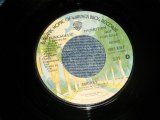 画像: FUNKADELIC - SMOKEY (PROMO Only  \SAME FLIP MONO & STEREO) (MINT-/MINT-)  / 1976 US AMERICA ORIGINAL"PROMO ONLY"  Used 7" Single 