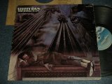 画像: STEELY DAN - THE ROYAL SCAM (Ex+/Ex+++) / 1980 Version US AMERICA REISSUE "SKY with RAINBOW Label" Used LP 