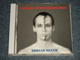 画像: ADRIAN BLEW - DESIRE OF THE RHINO KING  (Ex+++/MINT) / 1991 US AMERICA ORIGINAL Used CD 