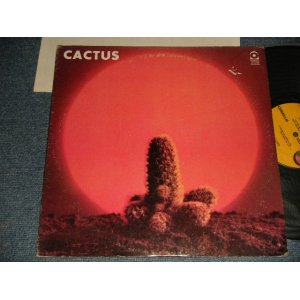 画像: CACTUS -  CACTUS (CTH / TERRE HAUTE Press in INDIANA) (Ex+/Ex++ Looks:Ex+++) / 1970 US AMERICAN ORIGINAL 1st Press "YELLOW with 1841 BROADWAY label"  Used LP 