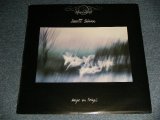 画像: DURUTTI COLUMN (Avantgarde) - Amigos Em Portugal / Dedications For Jacqueline (Ex++/MINT-) / 1983 Portugal ORIGINAL Used LP