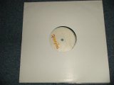 画像: LIMP BIZKIT - N 2 Gether Now (Ex++/MINT)  / UN-OFFICIAL Used 12"