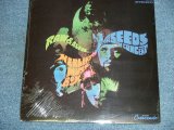 画像: THE SEEDS - RAW & ALIVE THE SEEDSA IN CONCERT  / 1977? US REISSUE Sealed LP