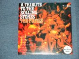 画像: THE PUPILS - TRIBUTE TO THE ROLLING STONES  /1996?  GERMAN? REISSUE  Brand New LP