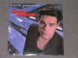 画像: DAVID JOHANSEN - SWEET REVENGE / 1984 US ORIGINAL Sealed LP