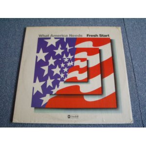 画像: FLESH START - WHAT AMERICA NEEDS   / 1974 US ORIGINAL LP