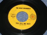 画像: THE BEAU BRUMMELS - YOU TELL ME WHY / 1965 US ORIGINAL 7"45 Single