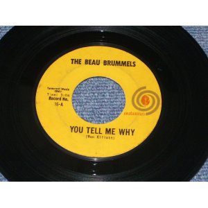 画像: THE BEAU BRUMMELS - YOU TELL ME WHY / 1965 US ORIGINAL 7"45 Single