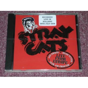 画像: STRAY CATS - RECORDED LIVE IN HOLLAND 30TH JULY / 2004 US ORIGINAL Sealed CD  