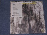 画像: DAVID PATTON - BUCKEYE  /  1972 US PROMO ORIGINAL LP