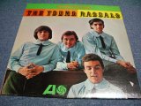 画像: YOUNG RASCALS - THE YOUNG RASCALS ( Ex+/Ex+ )   / 1966 STEREO US ORIGINAL LP