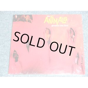 画像: THE  ANIMALS -  GREATEST HITS LIVE ! ( ORIGINAL ALBUM + BONUS ） / 2008 GERMAN Brand New SEALED CD 