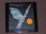 画像: THE RASCALS - SEE  / 1969 US ORIGINAL WHITE LABEL PROMO LP 